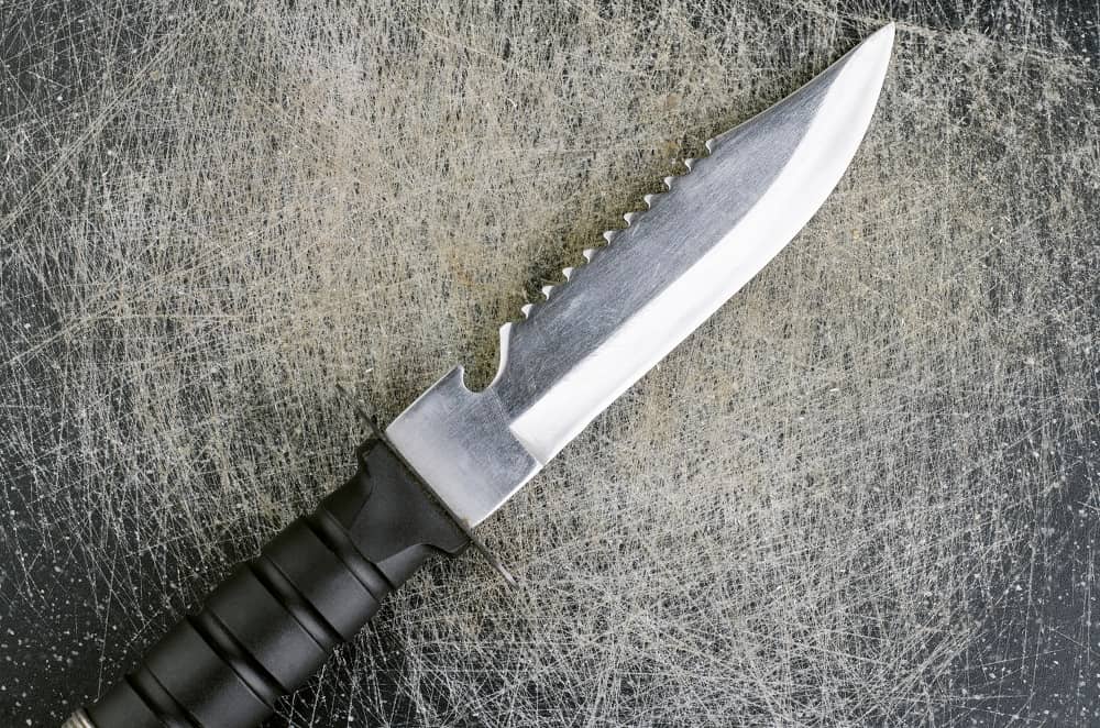 The 10 Best Survival Knives (Reviewed Dec. 2020)