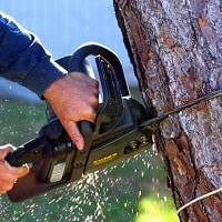 A set of hands using a chainsaw on a tree trunk