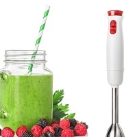 Immersion Blender with fruits smoothie